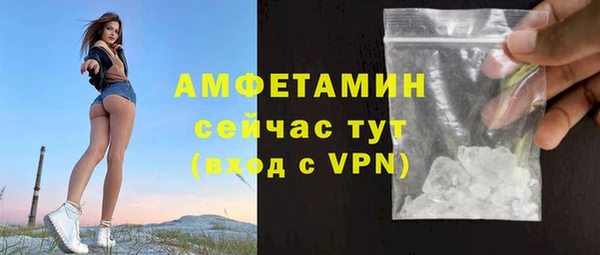 шишки Баксан