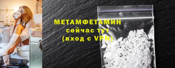прущие грибы Саяногорск